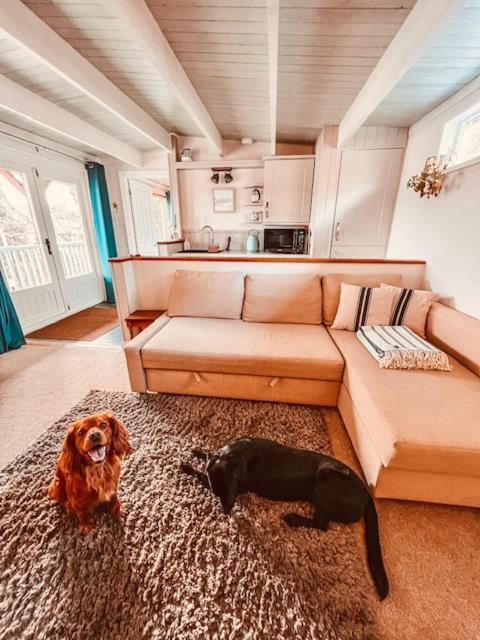 Willa Blankednick Boltholes - 3 Beautiful Family Or Couples Cornish Getaways Truro Zewnętrze zdjęcie